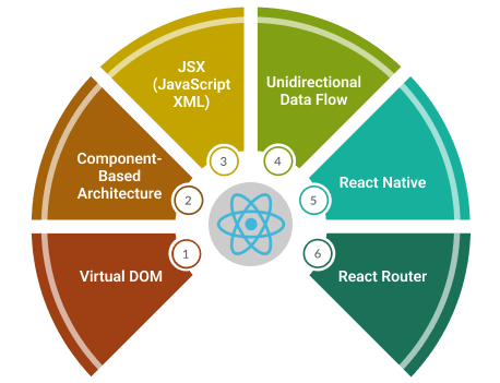 React JS software development life cycle